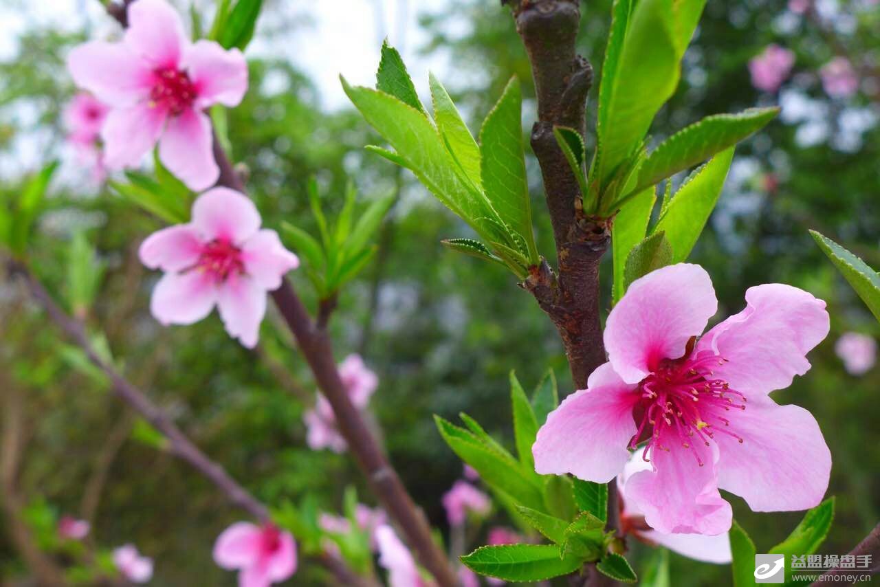置两条均线建立属于你自己的B点S点-股市实战